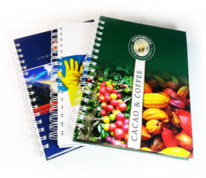 Agendas Personalizadas 2024